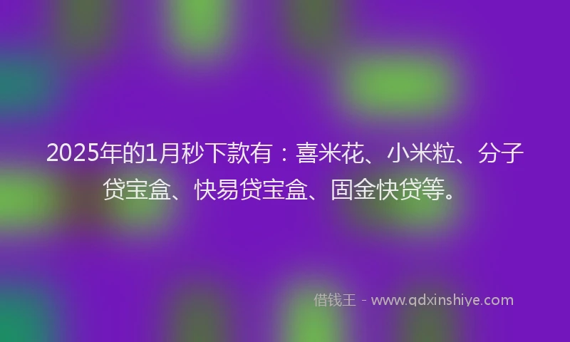 2025年的1月秒下款有：喜米花、小米粒、分子贷宝盒、快易贷宝盒、固金快贷等。