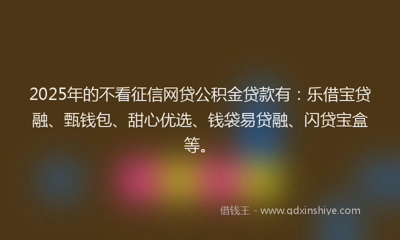 2025年的不看征信网贷公积金贷款有：乐借宝贷融、甄钱包、甜心优选、钱袋易贷融、闪贷宝盒等。