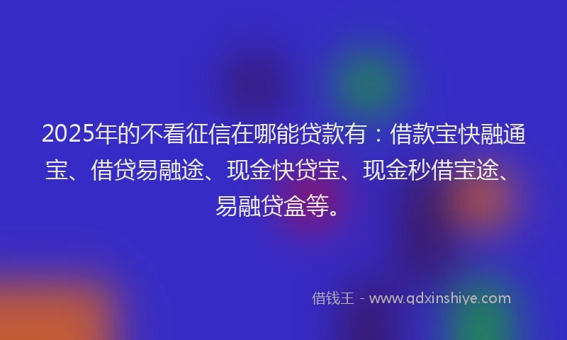 2025年的不看征信在哪能贷款有：借款宝快融通宝、借贷易融途、现金快贷宝、现金秒借宝途、易融贷盒等。