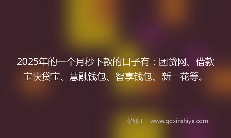 2025年的一个月秒下款的口子有：团贷网、借款宝快贷宝、慧融钱包、智享钱包、新一花等。