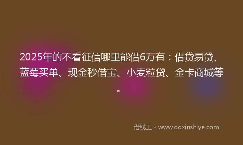 2025年的不看征信哪里能借6万有：借贷易贷、蓝莓买单、现金秒借宝、小麦粒贷、金卡商城等。