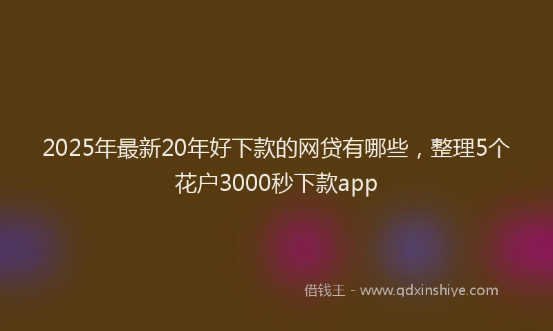 2025年最新20年好下款的网贷有哪些，整理5个花户3000秒下款app