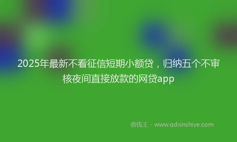 2025年最新不看征信短期小额贷，归纳五个不审核夜间直接放款的网贷app