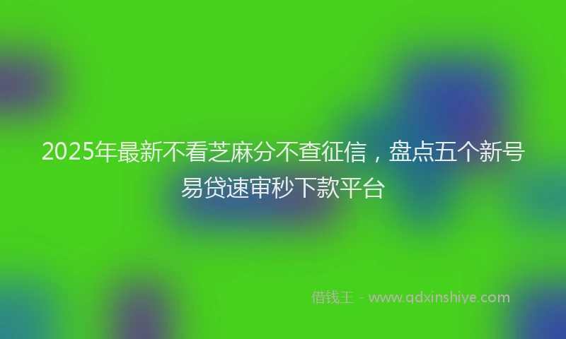 2025年最新不看芝麻分不查征信，盘点五个新号易贷速审秒下款平台