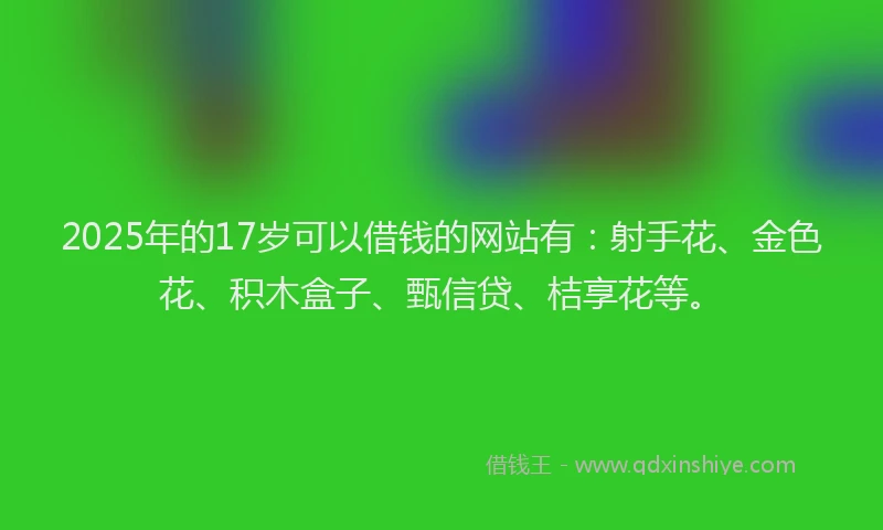2025年的17岁可以借钱的网站有：射手花、金色花、积木盒子、甄信贷、桔享花等。