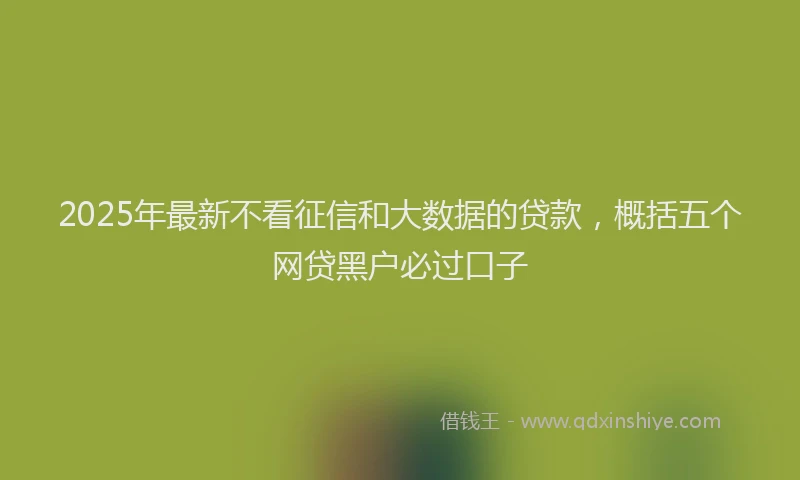 2025年最新不看征信和大数据的贷款，概括五个网贷黑户必过口子