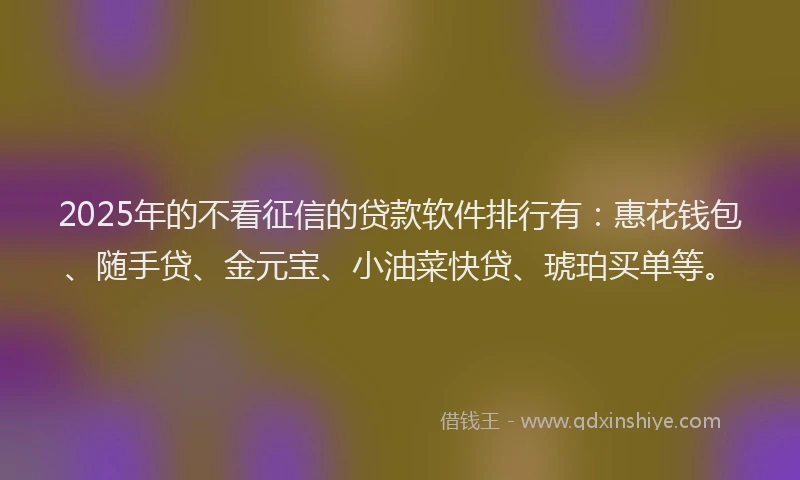 2025年的不看征信的贷款软件排行有：惠花钱包、随手贷、金元宝、小油菜快贷、琥珀买单等。