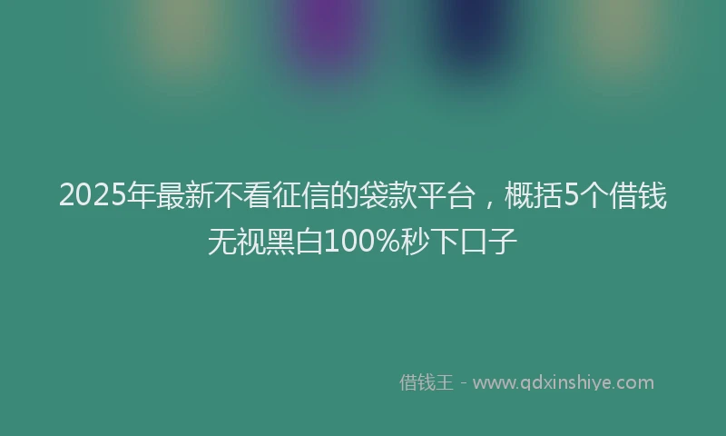 2025年最新不看征信的袋款平台，概括5个借钱无视黑白100%秒下口子