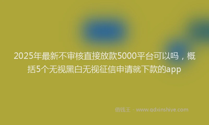 2025年最新不审核直接放款5000平台可以吗，概括5个无视黑白无视征信申请就下款的app