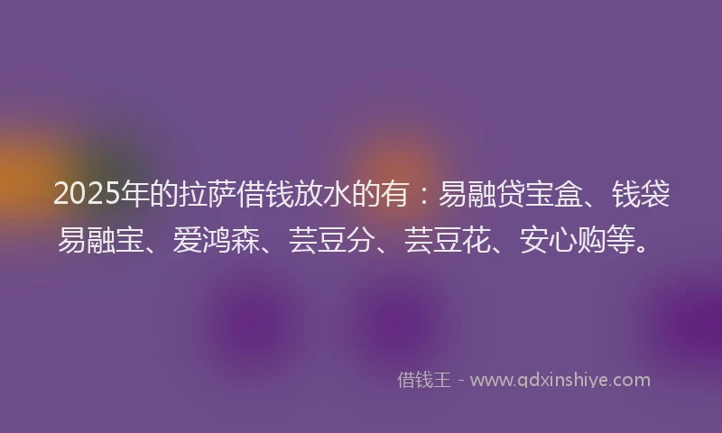 2025年的拉萨借钱放水的有：易融贷宝盒、钱袋易融宝、爱鸿森、芸豆分、芸豆花、安心购等。