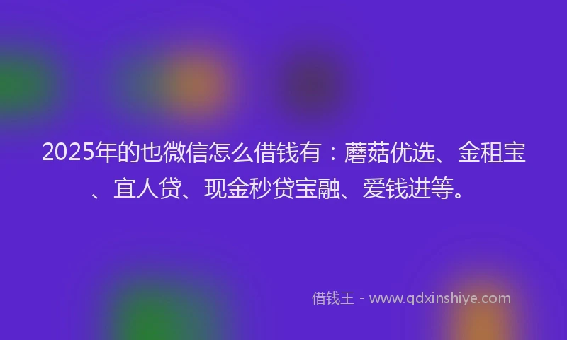 2025年的也微信怎么借钱有：蘑菇优选、金租宝、宜人贷、现金秒贷宝融、爱钱进等。