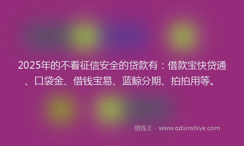 2025年的不看征信安全的贷款有：借款宝快贷通、口袋金、借钱宝易、蓝鲸分期、拍拍用等。
