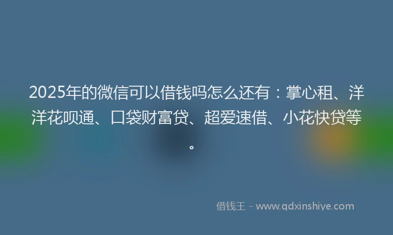 2025年的微信可以借钱吗怎么还有：掌心租、洋洋花呗通、口袋财富贷、超爱速借、小花快贷等。
