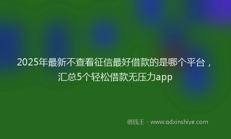 2025年最新不查看征信最好借款的是哪个平台，汇总5个轻松借款无压力app