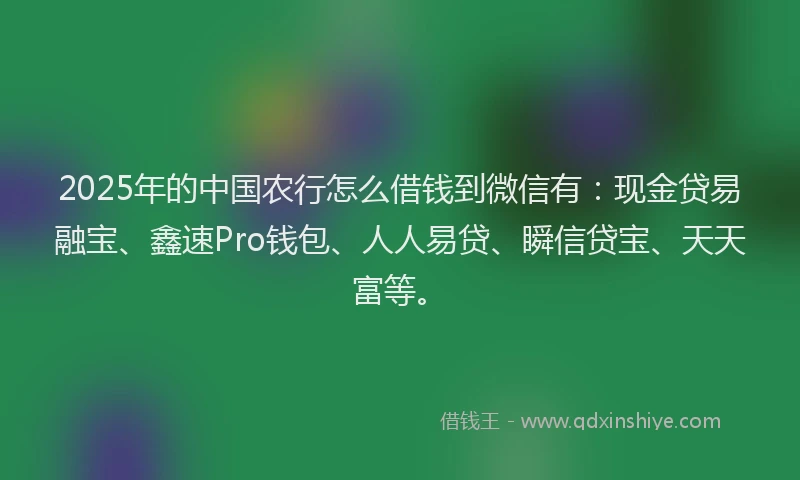 2025年的中国农行怎么借钱到微信有：现金贷易融宝、鑫速Pro钱包、人人易贷、瞬信贷宝、天天富等。
