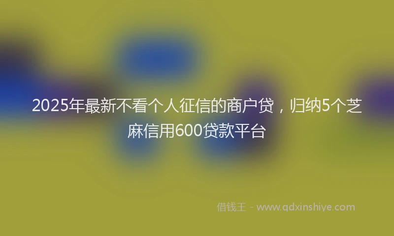 2025年最新不看个人征信的商户贷，归纳5个芝麻信用600贷款平台