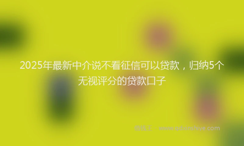 2025年最新中介说不看征信可以贷款，归纳5个无视评分的贷款口子