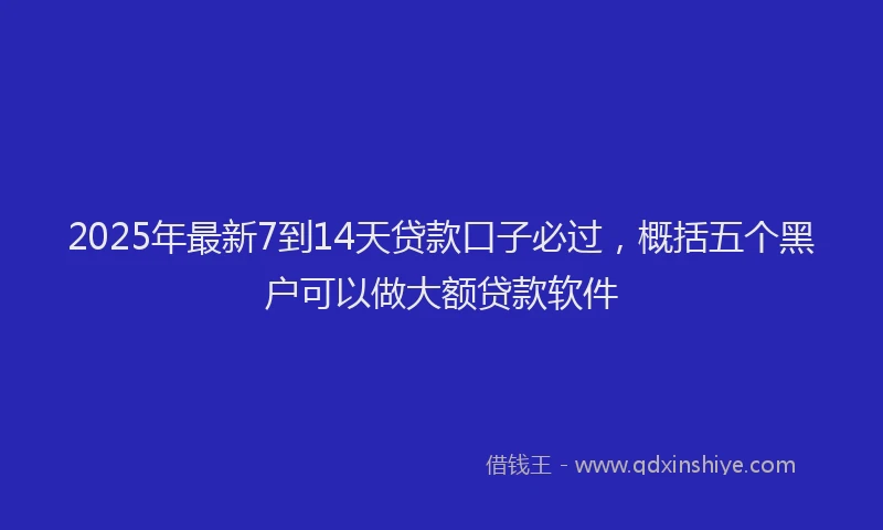 2025年最新7到14天贷款口子必过，概括五个黑户可以做大额贷款软件