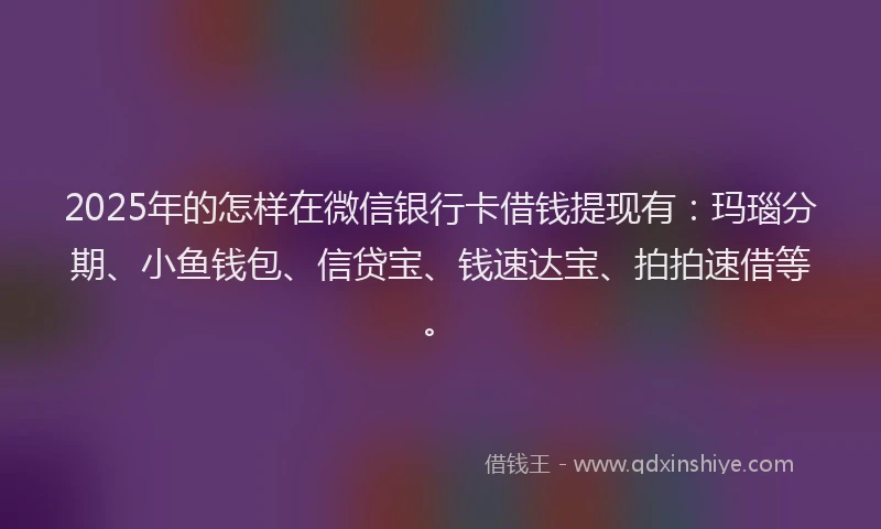 2025年的怎样在微信银行卡借钱提现有：玛瑙分期、小鱼钱包、信贷宝、钱速达宝、拍拍速借等。