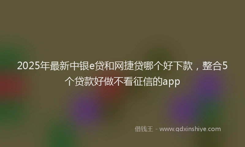 2025年最新中银e贷和网捷贷哪个好下款，整合5个贷款好做不看征信的app