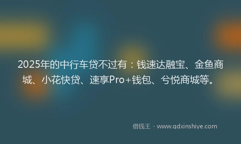 2025年的中行车贷不过有：钱速达融宝、金鱼商城、小花快贷、速享Pro+钱包、兮悦商城等。