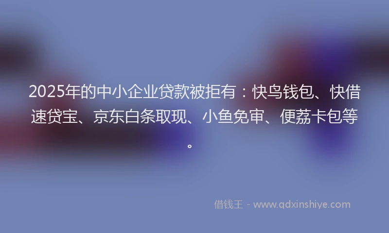 2025年的中小企业贷款被拒有：快鸟钱包、快借速贷宝、京东白条取现、小鱼免审、便荔卡包等。