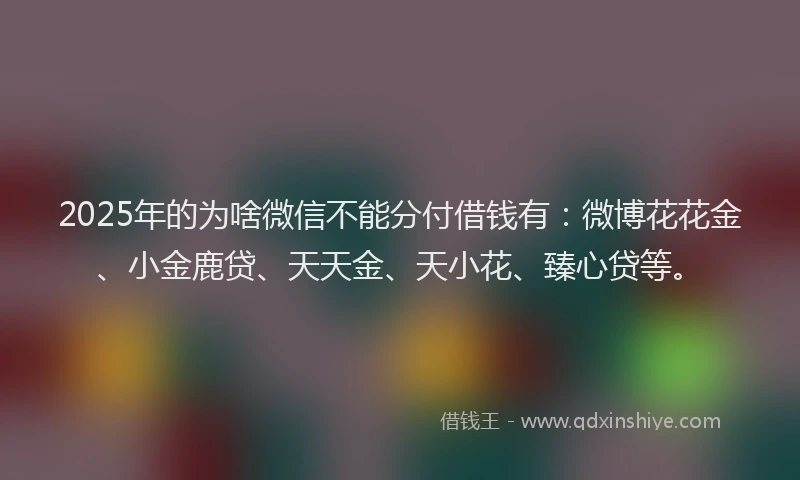 2025年的为啥微信不能分付借钱有：微博花花金、小金鹿贷、天天金、天小花、臻心贷等。