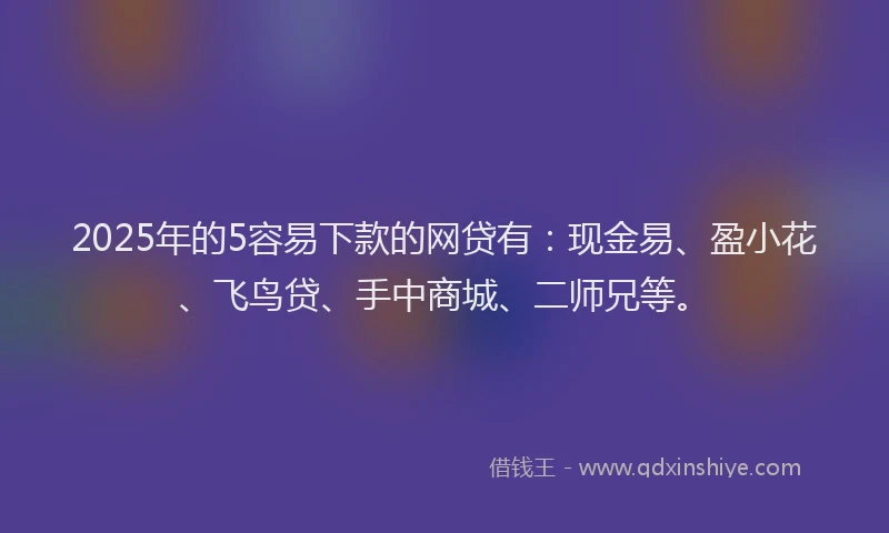 2025年的5容易下款的网贷有：现金易、盈小花、飞鸟贷、手中商城、二师兄等。
