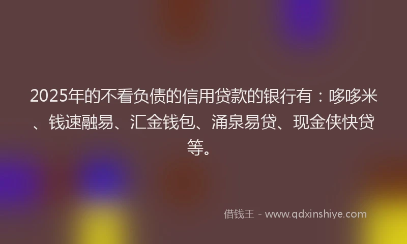 2025年的不看负债的信用贷款的银行有：哆哆米、钱速融易、汇金钱包、涌泉易贷、现金侠快贷等。