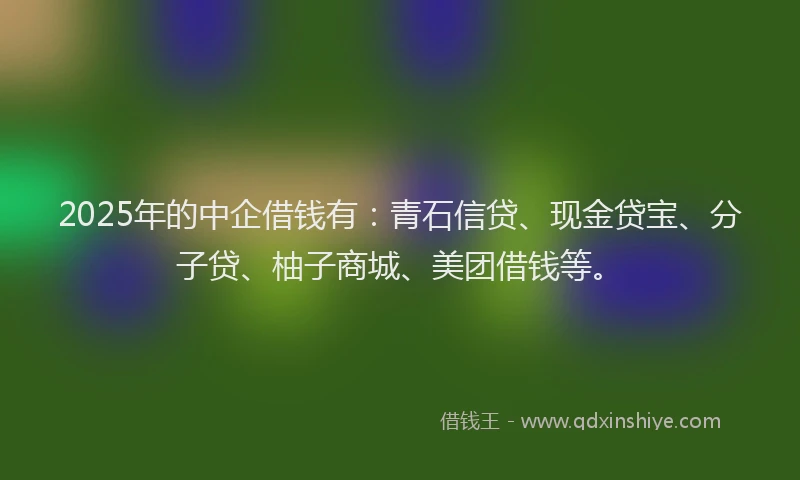2025年的中企借钱有：青石信贷、现金贷宝、分子贷、柚子商城、美团借钱等。