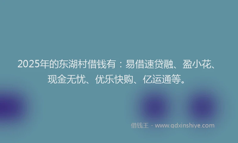 2025年的东湖村借钱有：易借速贷融、盈小花、现金无忧、优乐快购、亿运通等。