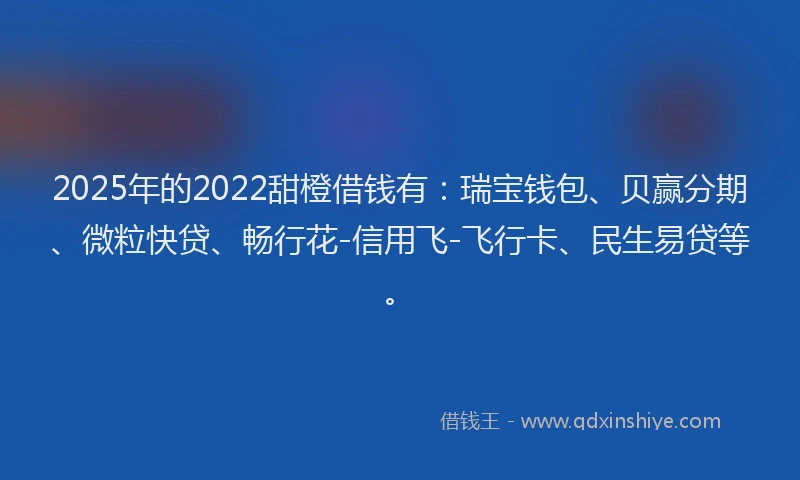 2025年的2022甜橙借钱有：瑞宝钱包、贝赢分期、微粒快贷、畅行花-信用飞-飞行卡、民生易贷等。