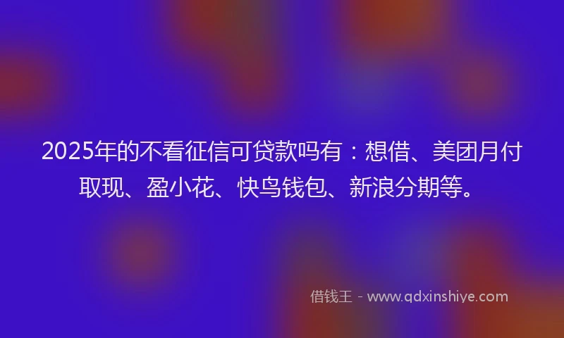 2025年的不看征信可贷款吗有：想借、美团月付取现、盈小花、快鸟钱包、新浪分期等。