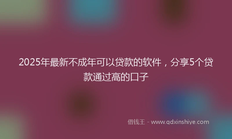2025年最新不成年可以贷款的软件，分享5个贷款通过高的口子