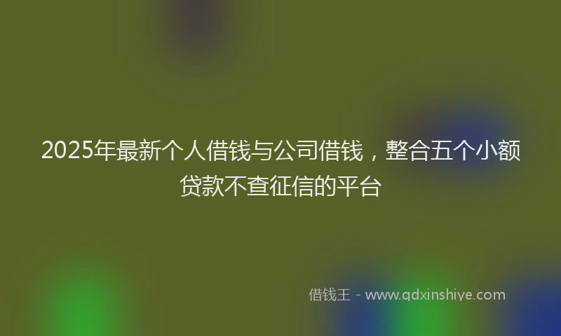 2025年最新个人借钱与公司借钱，整合五个小额贷款不查征信的平台