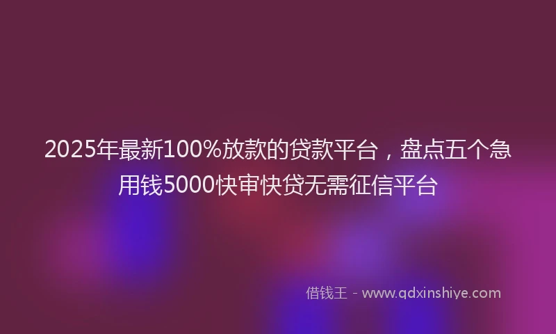 2025年最新100%放款的贷款平台，盘点五个急用钱5000快审快贷无需征信平台