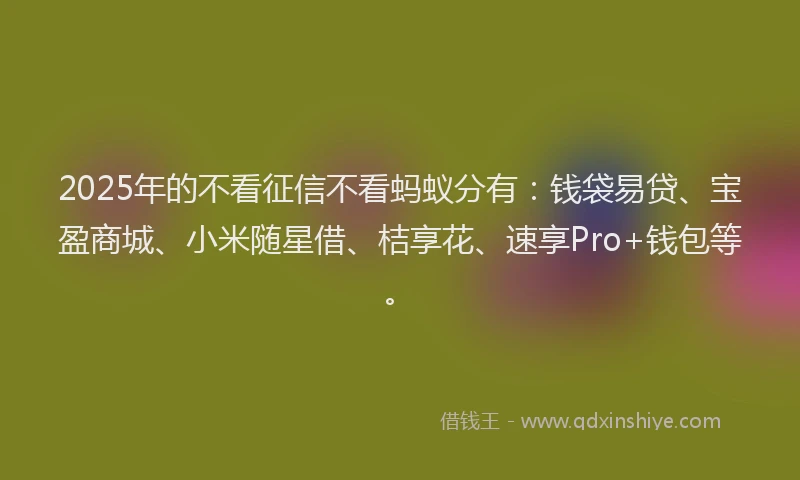 2025年的不看征信不看蚂蚁分有：钱袋易贷、宝盈商城、小米随星借、桔享花、速享Pro+钱包等。