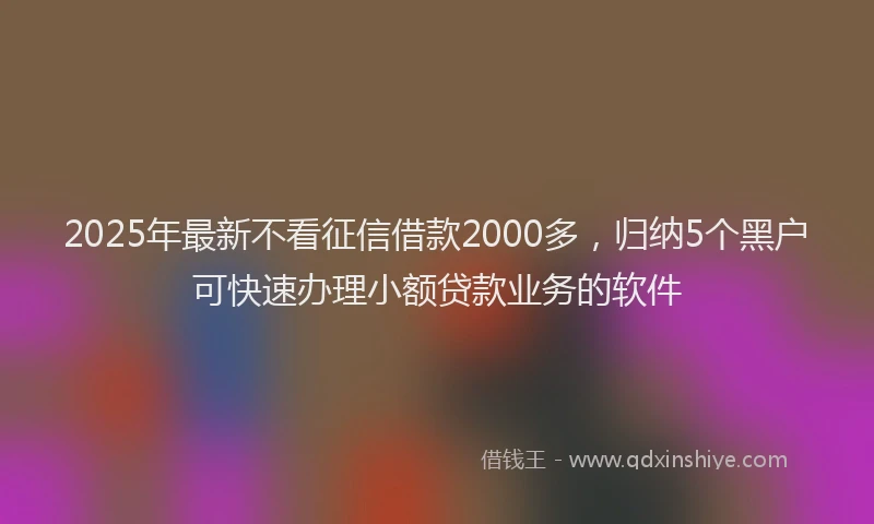 2025年最新不看征信借款2000多，归纳5个黑户可快速办理小额贷款业务的软件