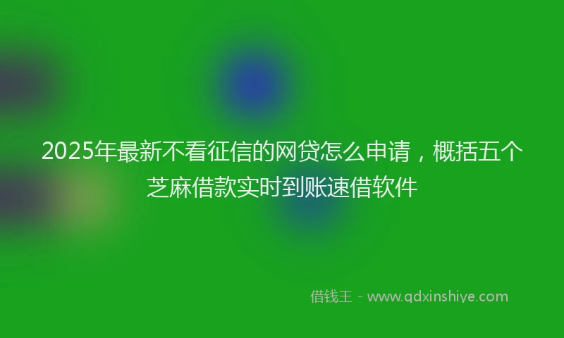 2025年最新不看征信的网贷怎么申请，概括五个芝麻借款实时到账速借软件