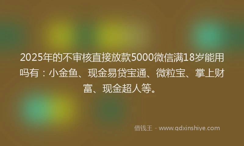 2025年的不审核直接放款5000微信满18岁能用吗有：小金鱼、现金易贷宝通、微粒宝、掌上财富、现金超人等。