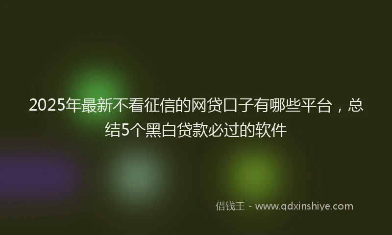 2025年最新不看征信的网贷口子有哪些平台，总结5个黑白贷款必过的软件