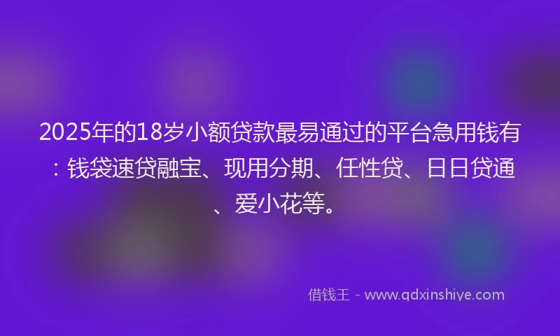 2025年的18岁小额贷款最易通过的平台急用钱有：钱袋速贷融宝、现用分期、任性贷、日日贷通、爱小花等。