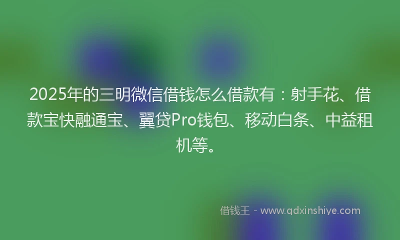 2025年的三明微信借钱怎么借款有：射手花、借款宝快融通宝、翼贷Pro钱包、移动白条、中益租机等。