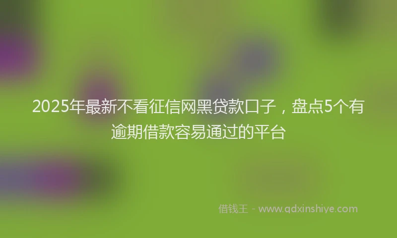 2025年最新不看征信网黑贷款口子，盘点5个有逾期借款容易通过的平台