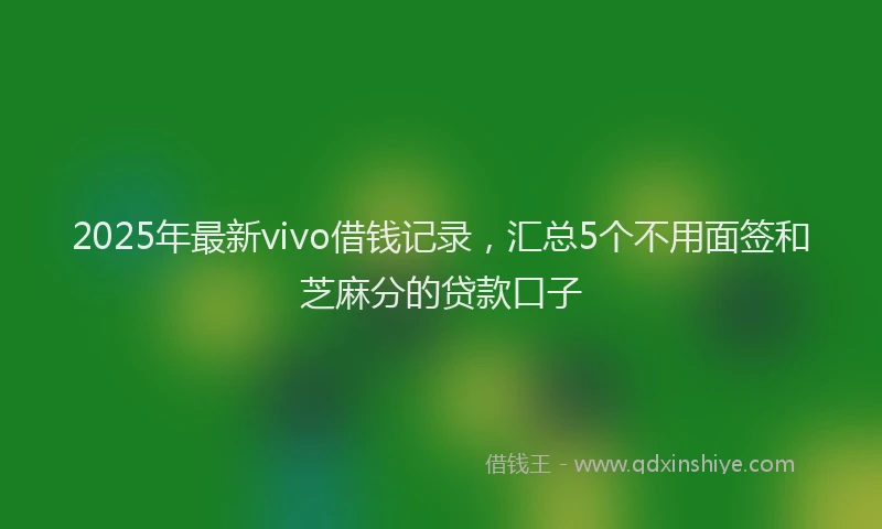 2025年最新vivo借钱记录，汇总5个不用面签和芝麻分的贷款口子