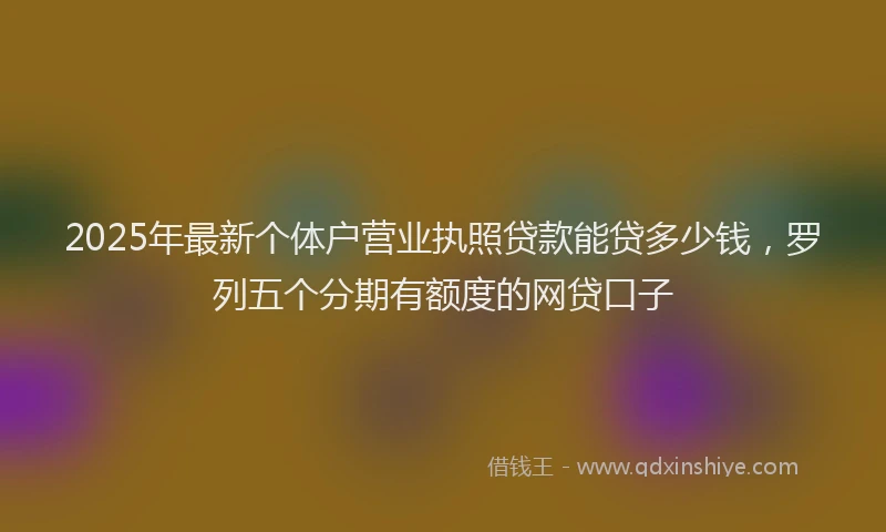 2025年最新个体户营业执照贷款能贷多少钱，罗列五个分期有额度的网贷口子