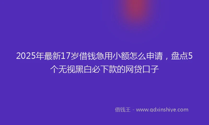 2025年最新17岁借钱急用小额怎么申请，盘点5个无视黑白必下款的网贷口子
