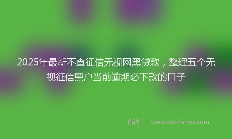 2025年最新不查征信无视网黑贷款，整理五个无视征信黑户当前逾期必下款的口子