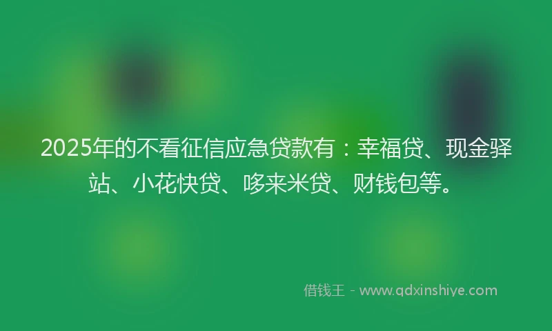 2025年的不看征信应急贷款有：幸福贷、现金驿站、小花快贷、哆来米贷、财钱包等。