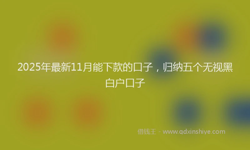 2025年最新11月能下款的口子，归纳五个无视黑白户口子